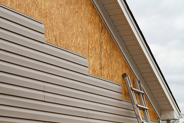 Professional Siding Inspection technician working in Hinsdale, IL
